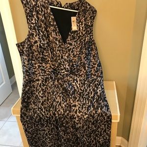 Ann Taylor dress